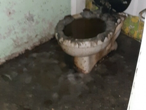 The Original 4995 Plumber - Queens, NY